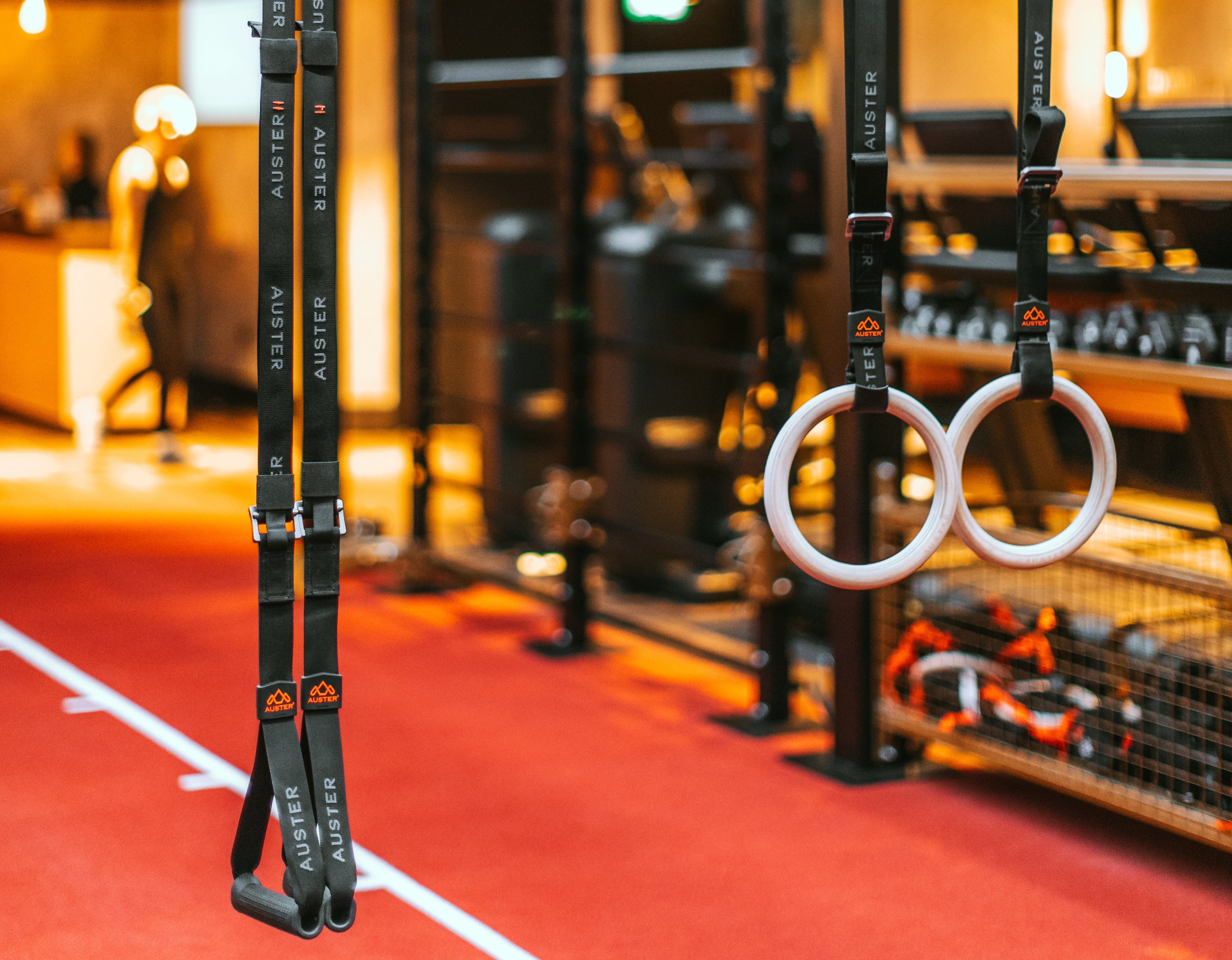 The Dangers of cheap fitness equipment