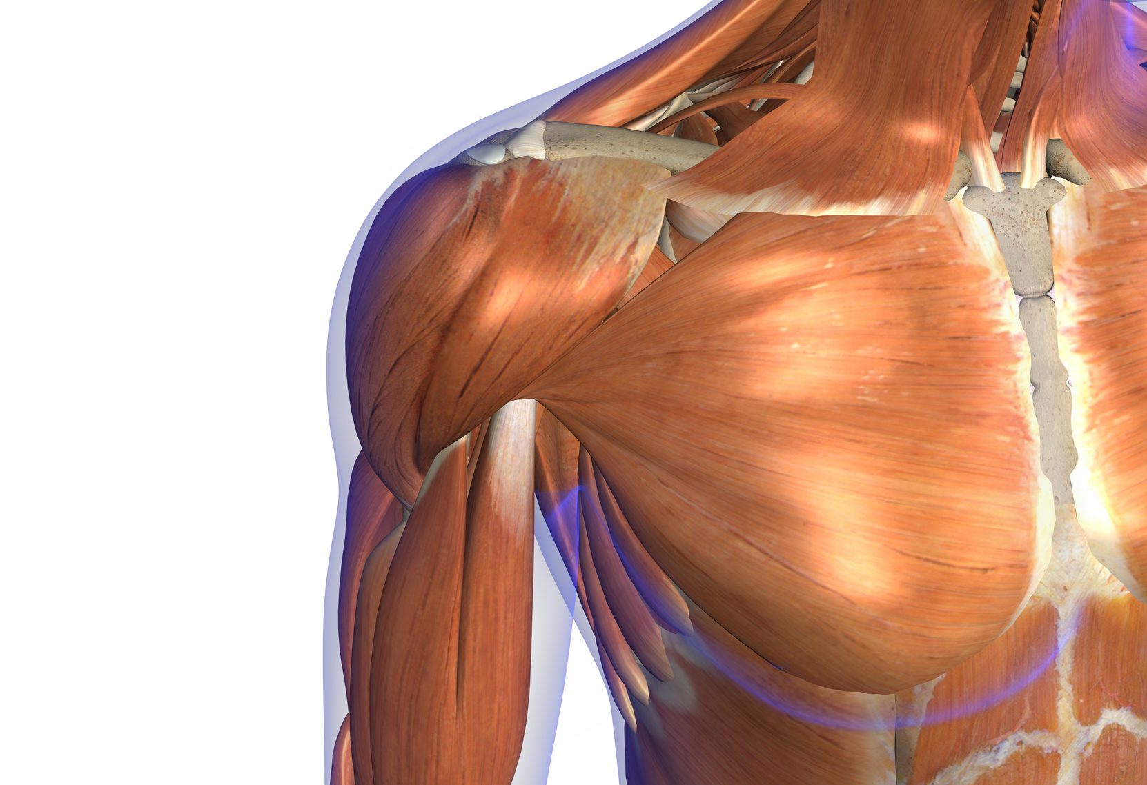 Want to build a bigger chest? Why bench press is out, and how this resistance band exercise will improve your pecs
